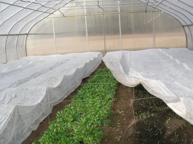 Agril Don Kırağı Örtüsü Beyaz 19gr/m2